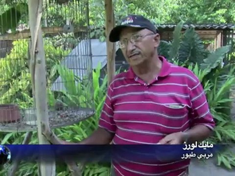مربي طيور يمارس هوايته... مع هوغو تشافيز
