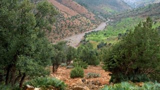le Moyen Atlas Maroc | الأطلس المتوسط  | Trekking au Maroc | Les laces du Moyen Atlas a Cheval | Massif Bou Iblane | Source Oum Rabiaa | Daït Aaoua
