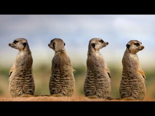 National Geographic Best price Black Friday