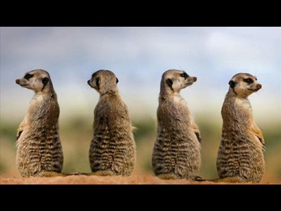 National Geographic Best price Black Friday