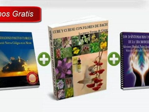 flores de bach mexico - propiedades de las flores de bach