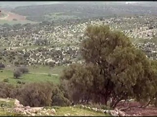 Po stopach soudcu Stareho zakona, dokument