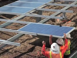 Marine Exchange at Port of Los Angeles Turns On 100% Renewable Power With Help Of EcoMedia's EcoAd Program