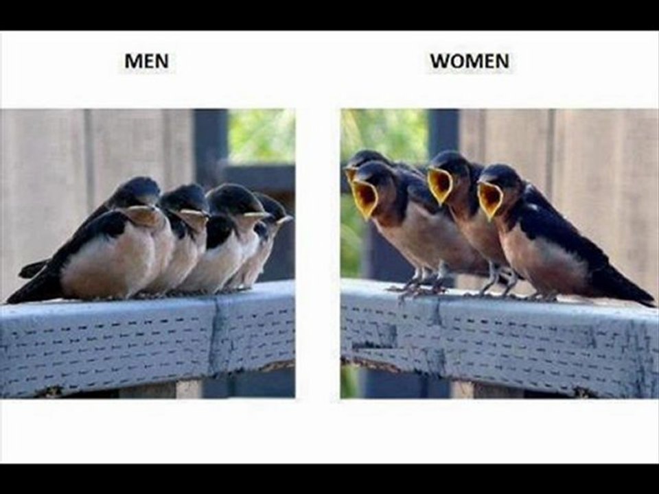 Entertainment Weekly Magazines Best Deals Black Friday