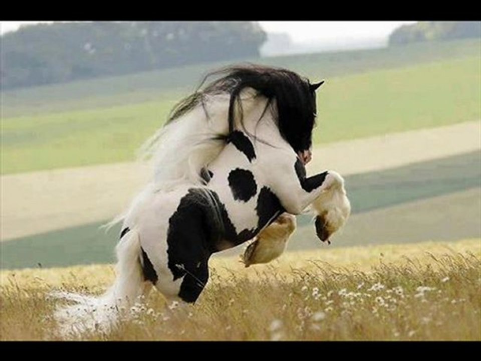 Food Network Magazine Hearst Magazines Best Sale Black Friday