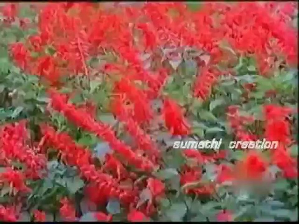 AMMAADI ITHUTHAAN KADHALA i