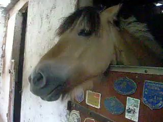 Poupoune aux nouvelles