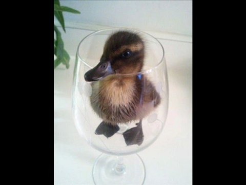 Rolling Stone Wenner Media Magazine Best Deals Black Friday