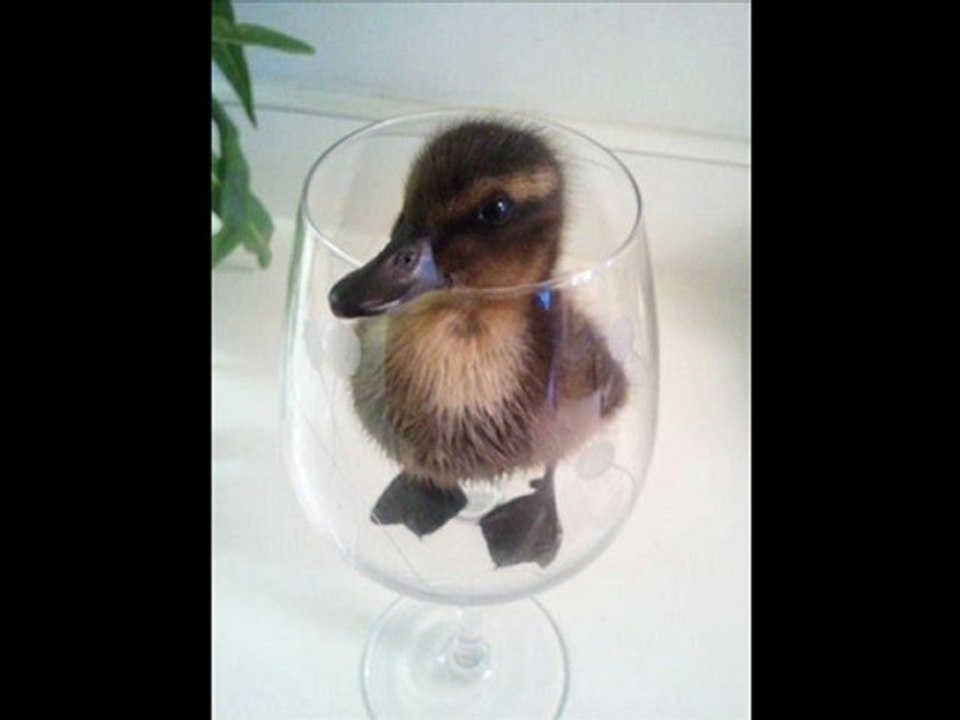 Rolling Stone Wenner Media Magazine Best Deals Black Friday