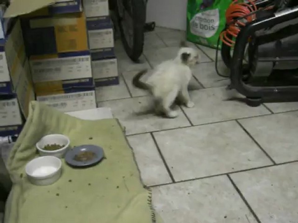 Lucky, rescapé de la rue