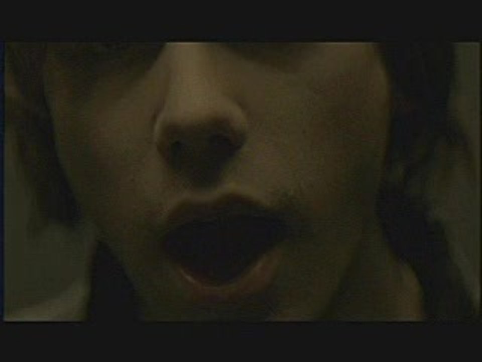 Mew - Conforting Sounds