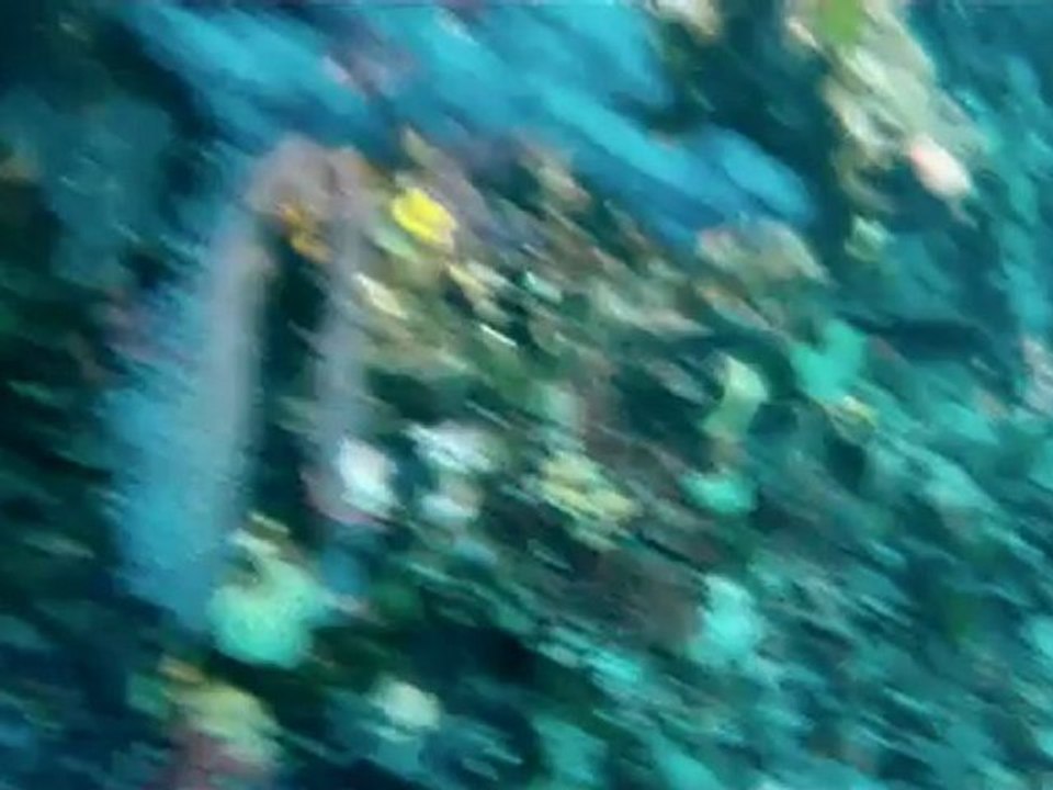 premier montage de plongée tourné avec une GoPro