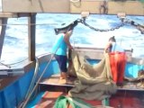 TG 31.08.12 Pesca: fermo biologico a Brindisi, Lecce e Taranto