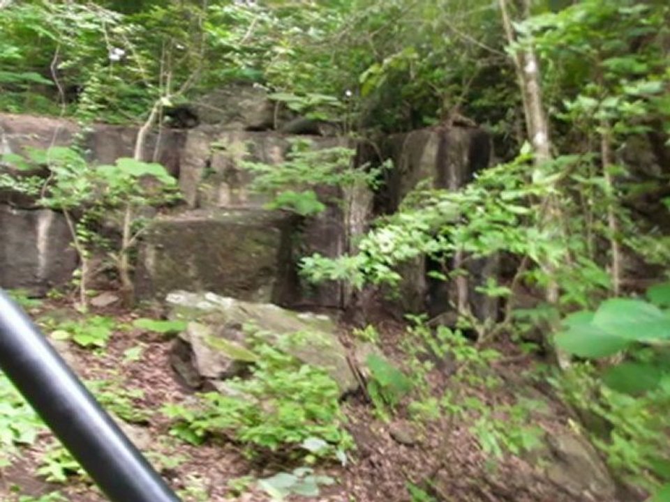 Venta de Terrenos en Honduras, Propiedad de 1100 manzanas para ganaderia o agricultura