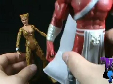 Toy Spot - DC Universe Wave 13 Cheetah (Classic) Figure