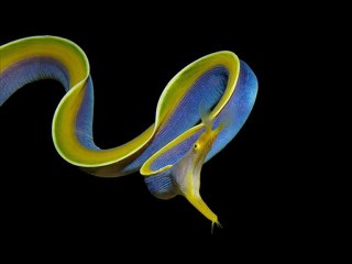 Kindle Fire Best Deals Black Friday