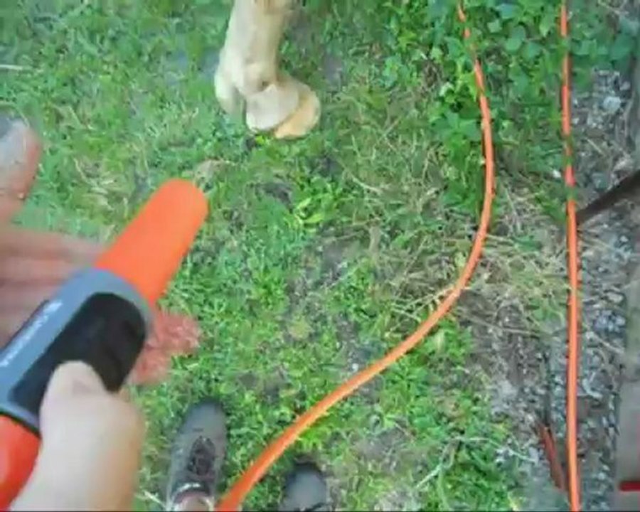 One day with me & them