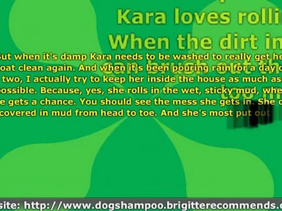 Dog Shampoo Story