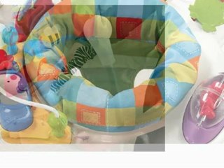 Fisher-Price Discover 'n Grow Jumperoo