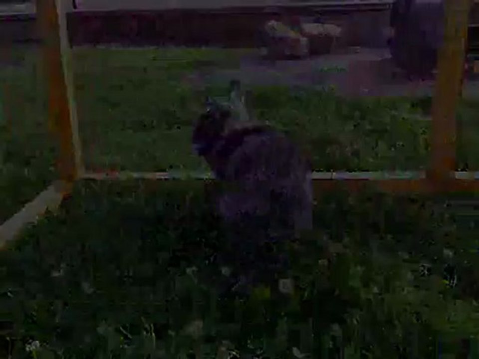 4 mois à ses cotés