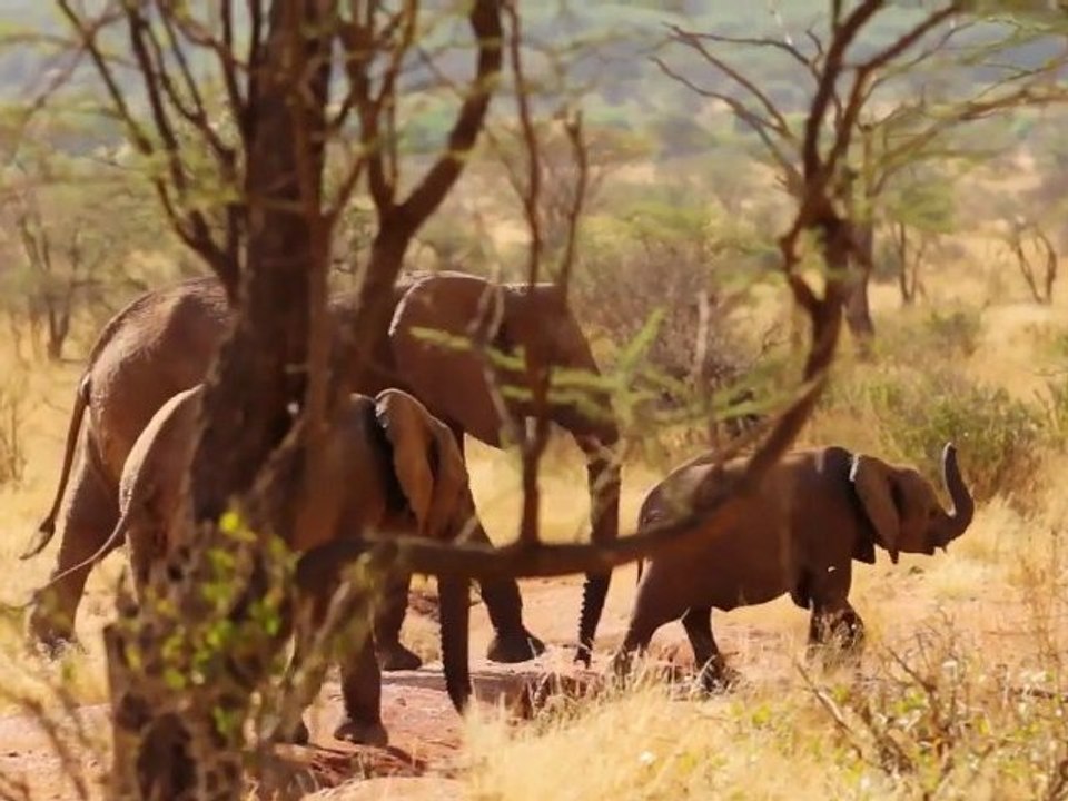 Africa - Into The Wild - Devin Graham