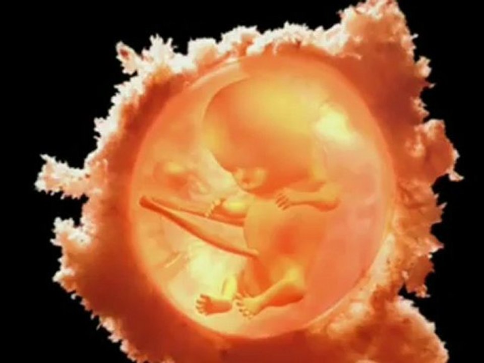 3 million red blood cells are manufactured in our bodies every second