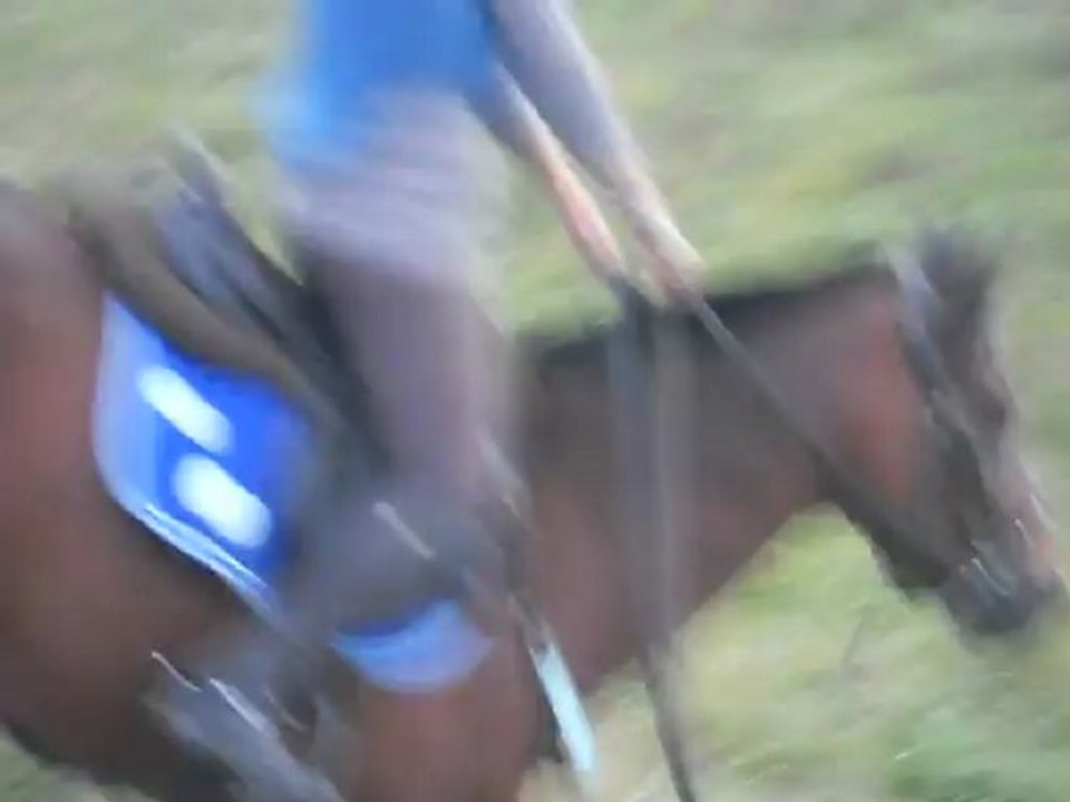 Entrainement Cross, Septembre 2012. III
