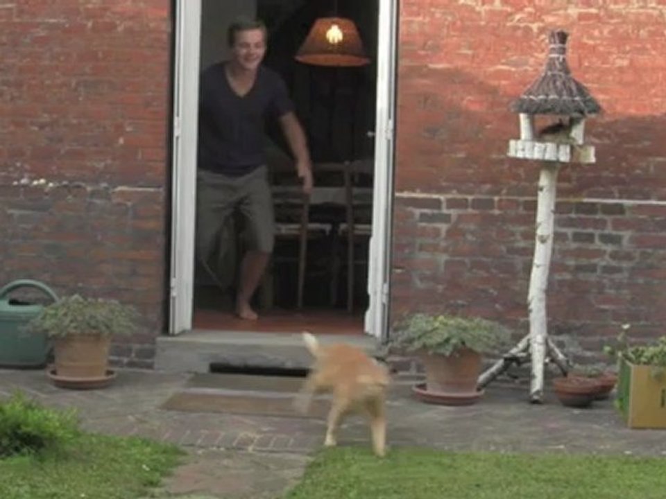 Parodie Pub Purina