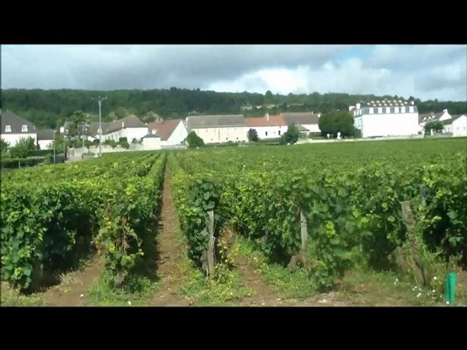 CHASSAGNE MONTRACHET -petit tour dans le vignoble..