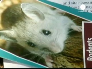 California: 10mila persone a rischio contagio per...