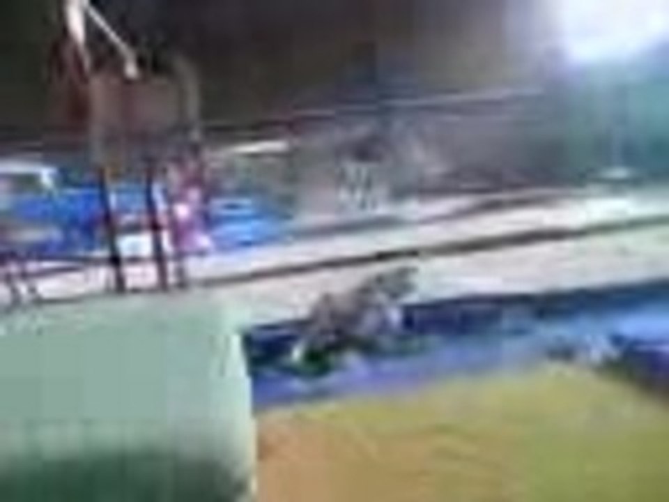 chute gymnastique