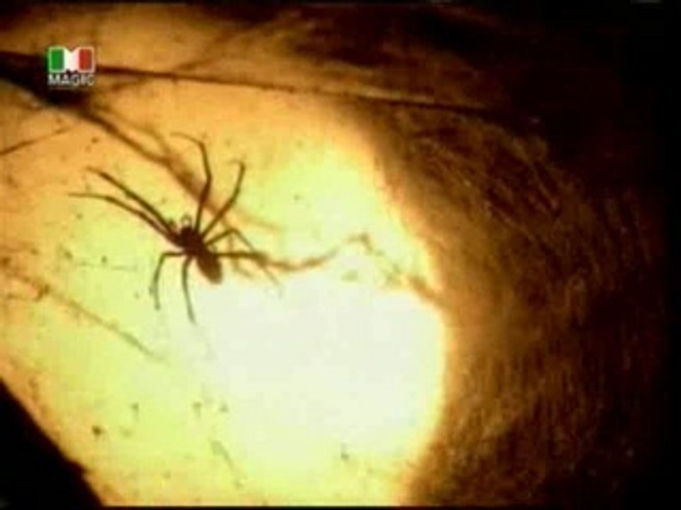 Michael buble- spiderman theme