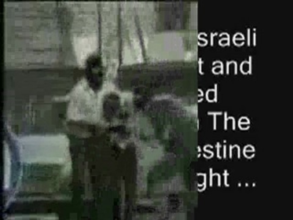 Brave Zionists -  Occupied Palestine