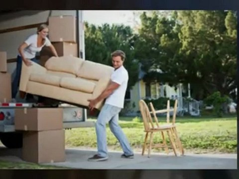 Elephant Removals - Dublin, Ireland