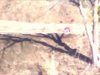 The Ministry of Love Keeps Poking the Dog