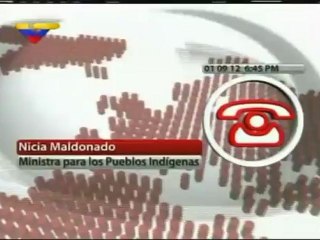 Gobierno desmiente asesinato de yanomamis en Amazonas