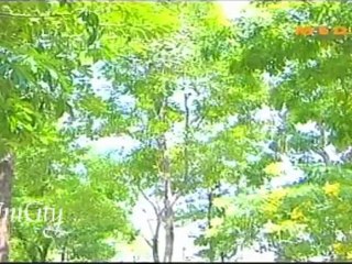 Benz Punyaporn 38 Cee Amy