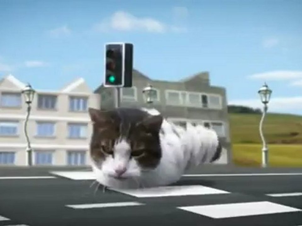 Kitty