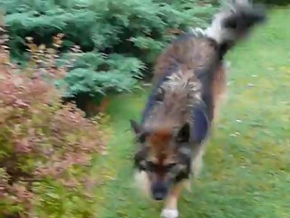 nougat après la douche