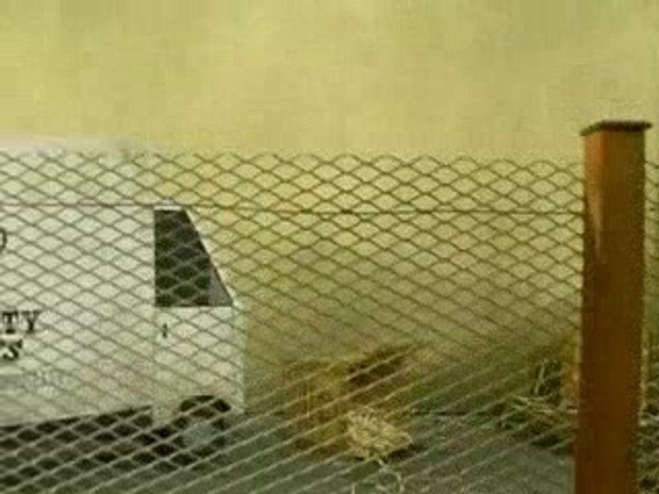 Robbie Williams - A Place To Crash