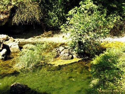 2-©FONTAINE DE VAUCLUSE 20-08-2005 PHOTOS&PHOTOS-PEINTURES MARTINE ANCIAUX© TELEVISION