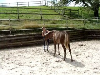 Comète: moments de jeux en liberté