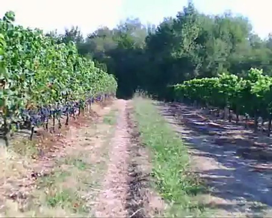 Randonnée "FRC-VTT " La laurance 2012