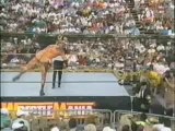 undertaker vs gonzales wrestlemania IX