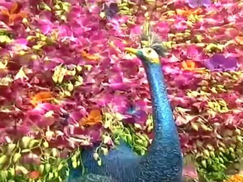 ข่าวในพระราชสำนัก 20912