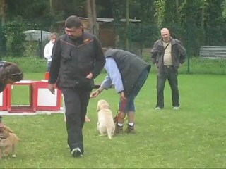 Jack à l'école des chiots