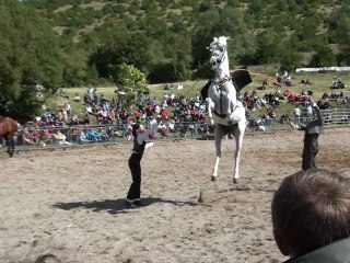 spectacle au domaine de gaillac