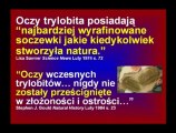 dr Kent Hovind - DVD nr 4 - Kłamstwa w podręcznikach.cz.1