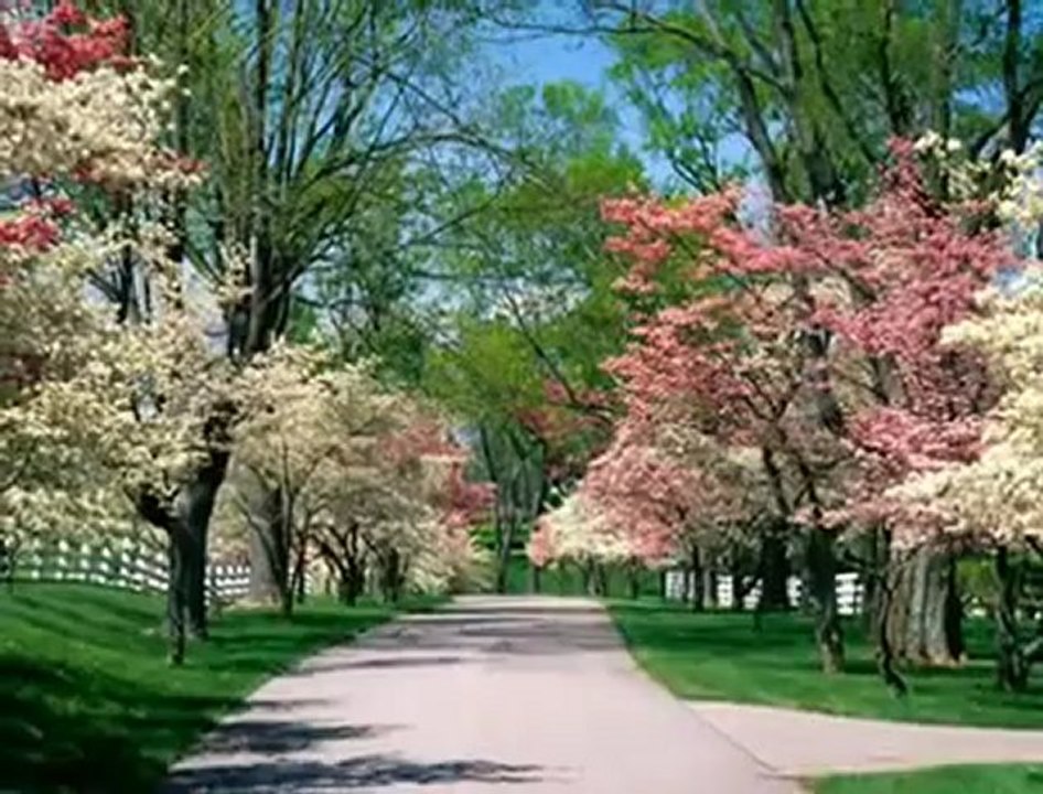 ÖLDÜRÜR BENİ-ŞİİR AHMET KAYTANCI-SESLENDİREN VE DÜZENLEME-ERTÜRK KAYTANCI