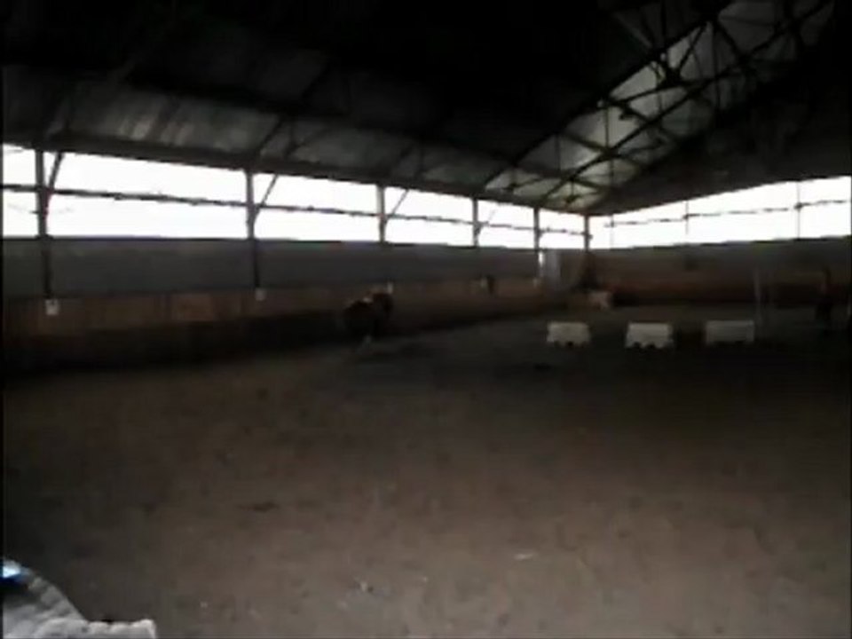 Vitesse allures 3.5 ans